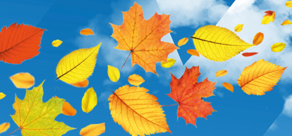 LKW Visual Herbstlaub Event Oktober 2025