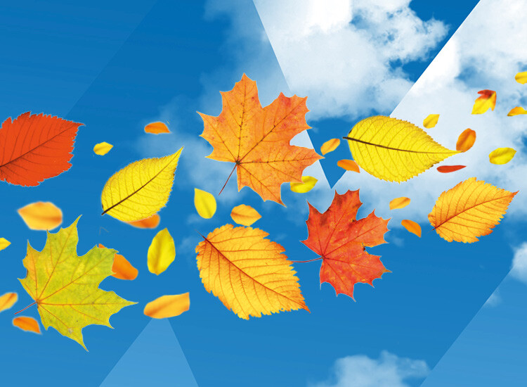 LKW Visual Herbstlaub Event Oktober 2025